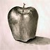 Image result for Simple Still Life Drawing