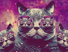 Image result for Hipster Cat Backgrounds