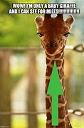 Image result for Giraffe Meme Sticker