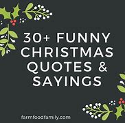 Image result for Best Humorous Christmas Quotes