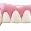 Image result for Vampire Teeth No Background