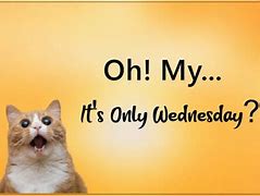 Image result for Happy Wednesday Sarcastic Meme