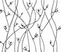 Image result for Botanical Pencil Line Drawing Vines
