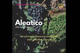 Image result for aliteraco