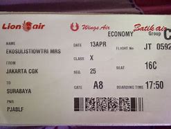 Image result for Contoh Tiket Pesawat
