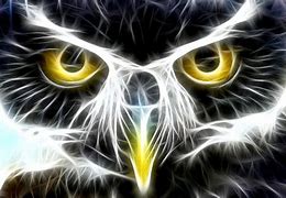 Image result for Fractal Owl