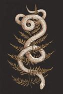 Image result for Serpent Square Wallpaper