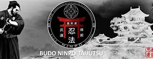 Image result for Ninjutsu Ryu