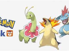 Image result for Gen 2 Starters Evolution