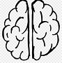 Image result for Human Brain Drawing