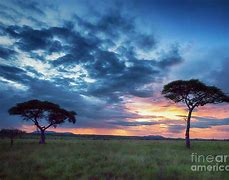 Image result for Tanzania Sunset