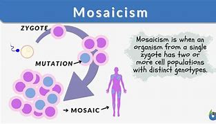Image result for mosaicism