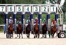 Image result for Horse Racing Coloring Pages Printable