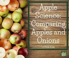 Image result for Comparing Apples to Onions Meme