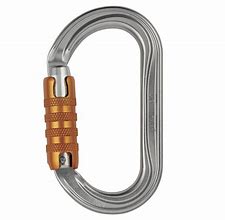 Image result for Carabiner Petzl Auto Lock