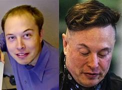 Image result for Elon Musk Haircut Meme