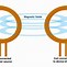 Image result for Wireless Charging Receivere On iPhone XR Diagram