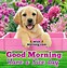 Image result for Have a Great Day Dog