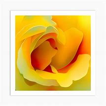 Image result for Yellow Rose Art Print