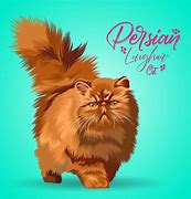 Image result for Persian Cat Types