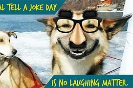 Image result for Bad Husky Joke Meme