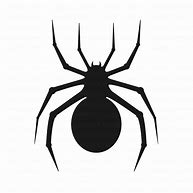Image result for Halloween Spider Graphic