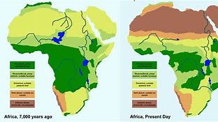 Image result for Africa Vegetation Map