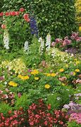 Image result for Butterfly Garden