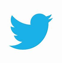 Image result for Twitter. iPhone Icon