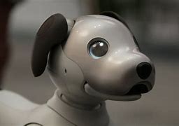 Image result for Aibo No Shell