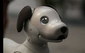 Image result for Aibo Commercial