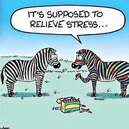 Image result for Funny Memes About Stress