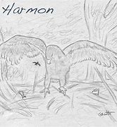 Image result for Harmon Actor