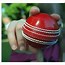 Image result for Cricket Ball