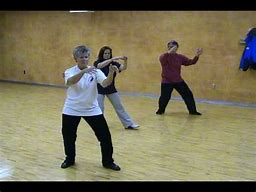 Image result for Fu Style Tai Chi