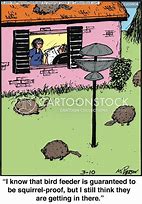 Image result for Bird Feeder Meme