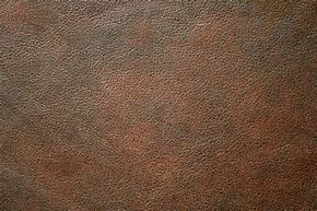 Image result for Tan Leather Texture