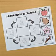 Image result for Apple Sequencing