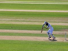 Image result for Cricket FO4