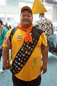 Image result for Up Disney Russell Costume