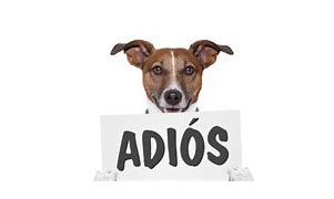 Image result for Adios