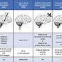 Image result for Electric Brain Stimulation