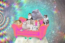 Image result for Trippy Sylvester Cat