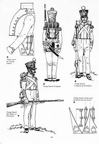 Image result for Principality of Neuchatel Napoleonic Uniforms