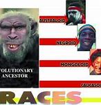 Image result for Differences in Human Races