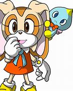Image result for Sonic Advance Cream