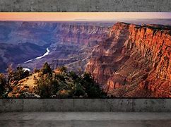 Image result for what is the biggest tv in the world?