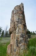 Image result for Petrified Mushroom Forest