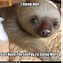 Image result for Sloth Why Meme