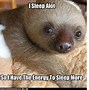 Image result for God Sloth Meme